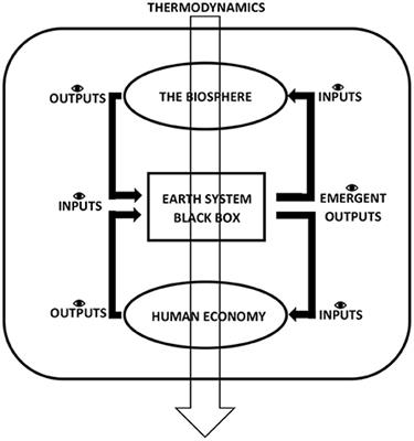 How can economics contribute to environmental and social sustainability? The significance of systems theory and the embedded economy